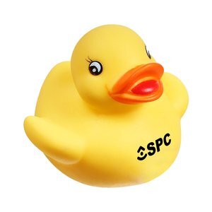 Plain Lil Rubber Duck