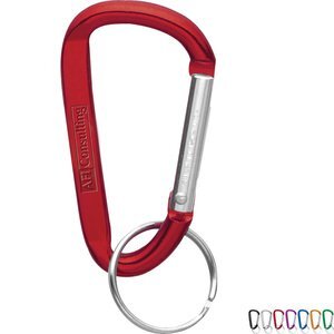 Small Carabiner Key Ring