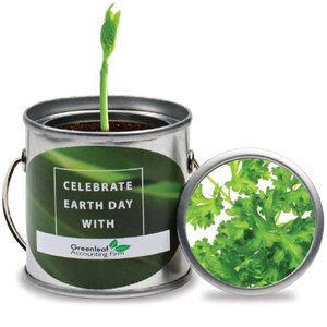 Paint Pail Herb Planter Kit