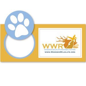 Circle & Rectangle 2-in-1 Pop Mags