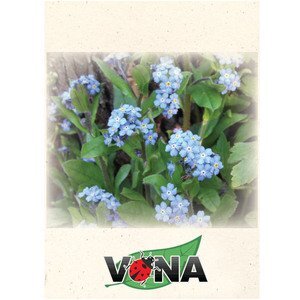 Forget Me Not Seed Packet