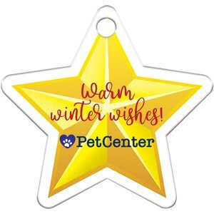 Star Plastic Holiday Ornament