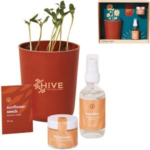 Modern Sprout® Shine Bright Take Care Sunflower Kit