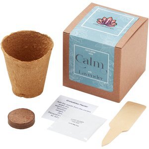 Grow Some Calm Lavender Planter in Kraft Gift Box