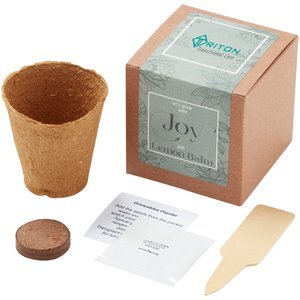 Grow Some Joy Lemon Balm Planter in Kraft Gift Box
