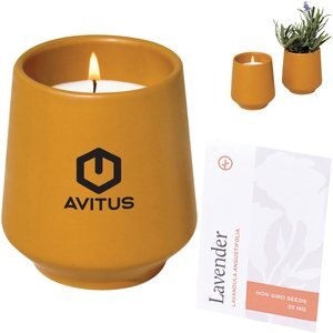 Modern Sprout® Rooted Candle - Lavender