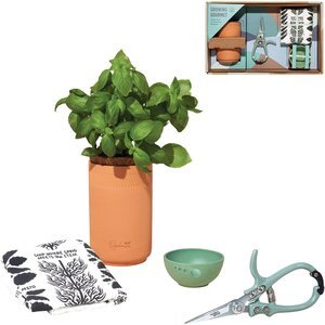 Modern Sprout® Growing Gourmet Gift Set