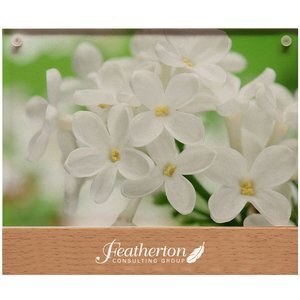 Wood & Acrylic Photo Frame, 4" x 6"