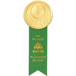 Round Button 3" with Ribbon, 2" x 6"