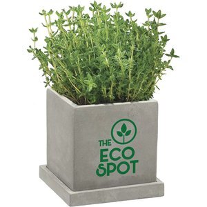 Stone Blossom Planter Kit