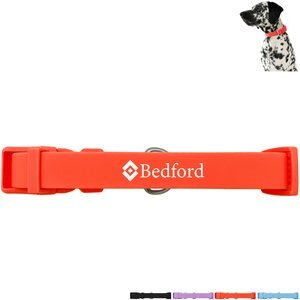 Springer Medium Dog Collar