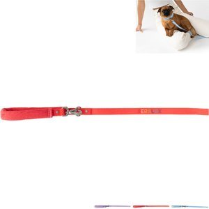 Springer Small Dog Leash, 4Ft.