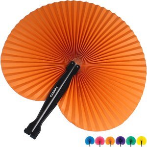 Colorful Paper Fan