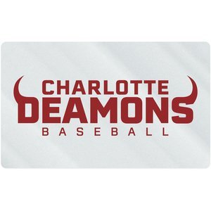 Rectangle Shape Custom Sticker - Clear, 5" or 5-1/4"