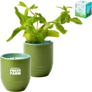 Modern Sprout® Garden Vibes Candle Mint Planter