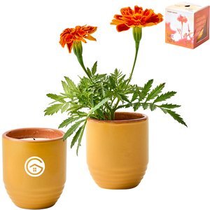 Modern Sprout® Garden Vibes Candle Marigold Planter