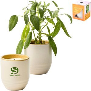 Modern Sprout® Garden Vibes Candle Sage Planter