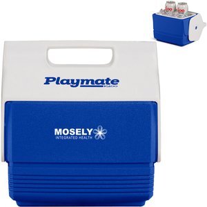 Igloo® Playmate Mini™ 4 Qt 6 Can Cooler