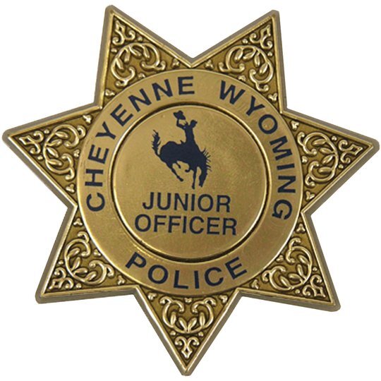 Junior 7 Point Sheriff Star Badge with Pocket Clip, Custom | Foremost ...