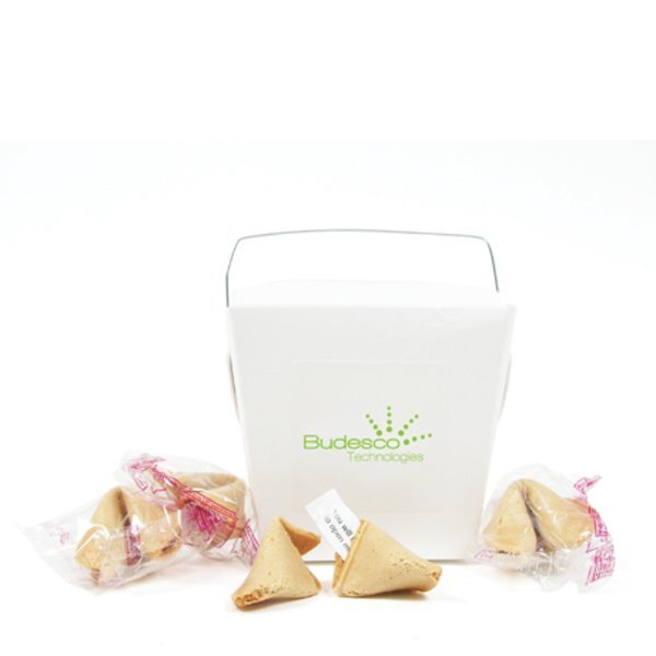 Take Out Fortune Cookie Container, 4 Cookies
