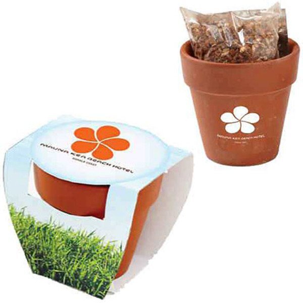 Terracotta Pot w/ Seeds