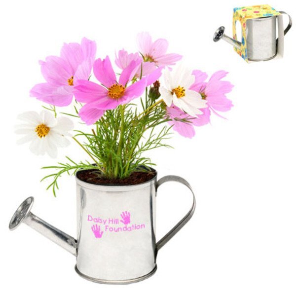 Watering Can Flower Planter Kit