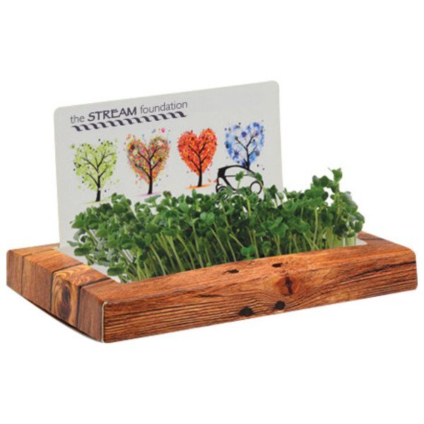 Rectangle SproutScape Desktop Garden