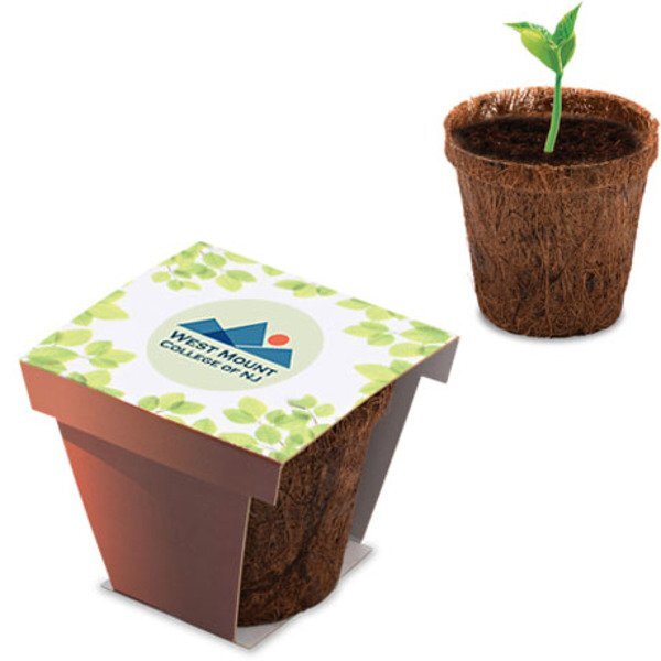 Coco Flower Planter Starter Kit