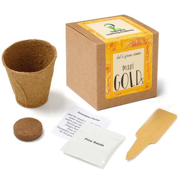 Marigold Growables Planter in Kraft Gift Box w/ Label