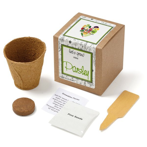 Parsley Growables Planter in Kraft Gift Box w/ Label