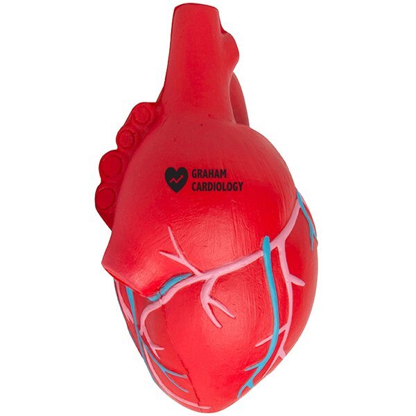 Anatomical Heart with Veins Stress Reliever