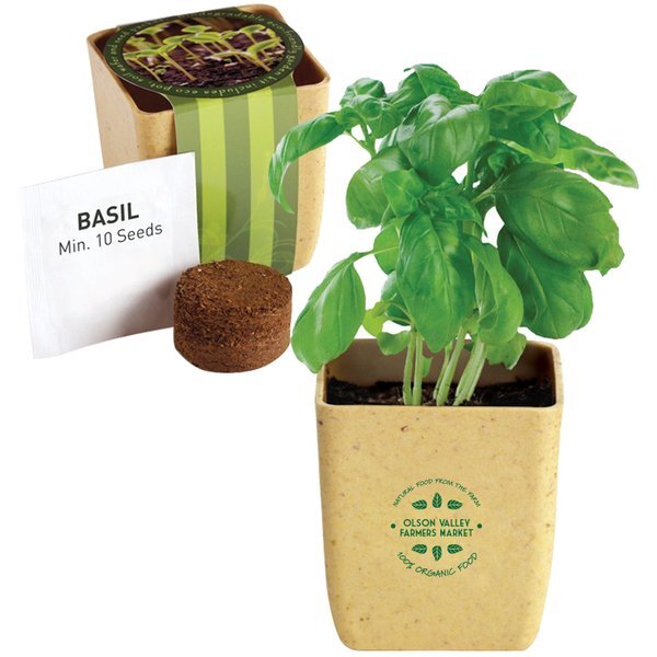 Flower Pot Set w/ Basil Seeds