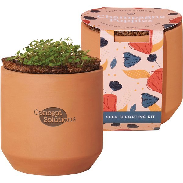 Modern Sprout® Tiny Terracotta Grow Kit - Champagne Poppies
