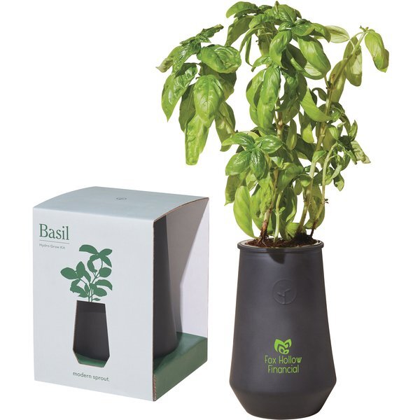 Modern Sprout® Tapered Tumbler Basil Grow Kit