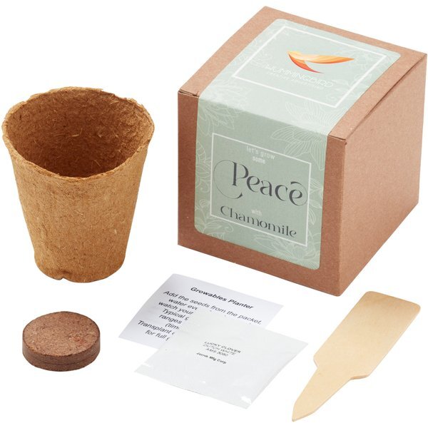 Grow Some Peace Chamomile Planter in Kraft Gift Box