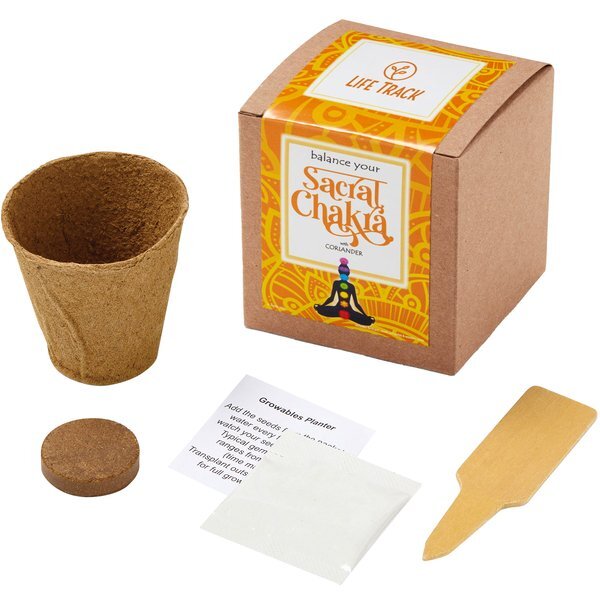 Sacral Chakra Growables Planter in Kraft Gift Box w/ Label