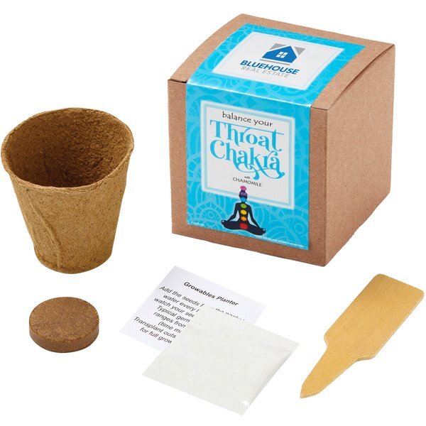 Throat Chakra Growables Planter in Kraft Gift Box w/ Label