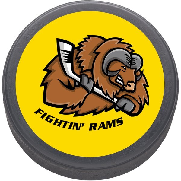 Hockey Puck, 3