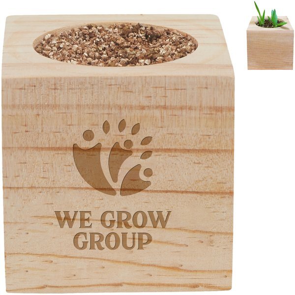 Sprigbox Aloe Grow Kit