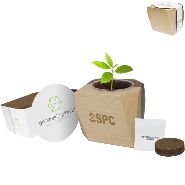 Geometric Maple & Walnut Wooden Planter Kit