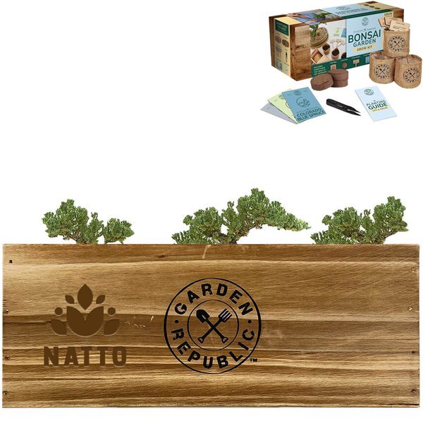 Garden Republic™ Bonsai Tree Starter Kit