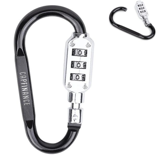 SecureLink Mini Carabiner Keychain