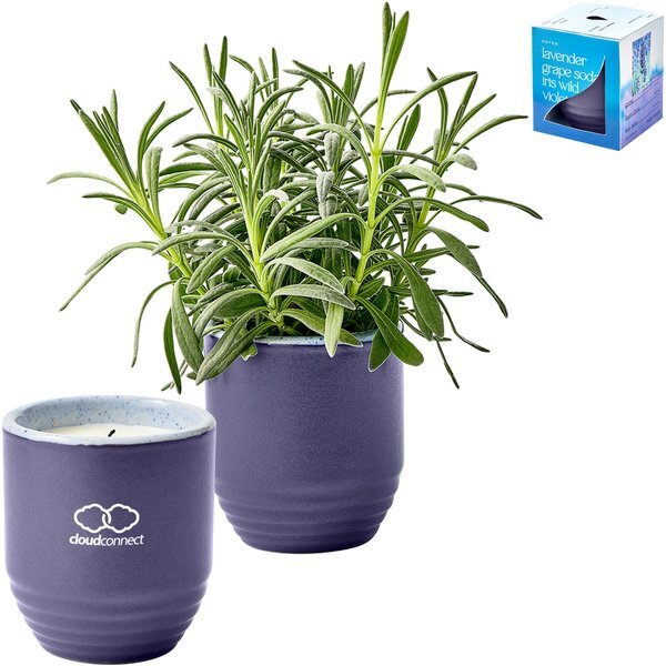 Modern Sprout® Garden Vibes Candle Lavender Planter