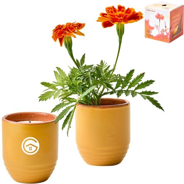 Modern Sprout® Garden Vibes Candle Marigold Planter