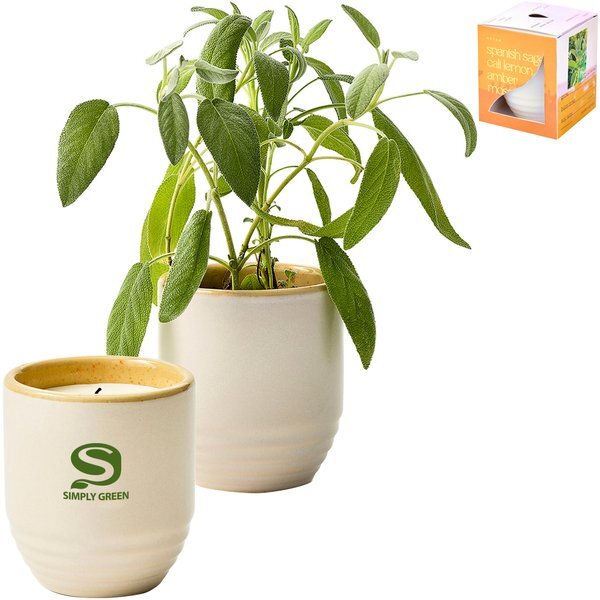 Modern Sprout® Garden Vibes Candle Sage Planter