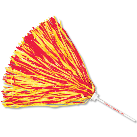 Promotional Rally Pom Pom $1.59