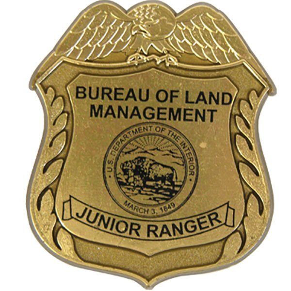 Junior Eagle Design Badge with Pocket Clip, Custom