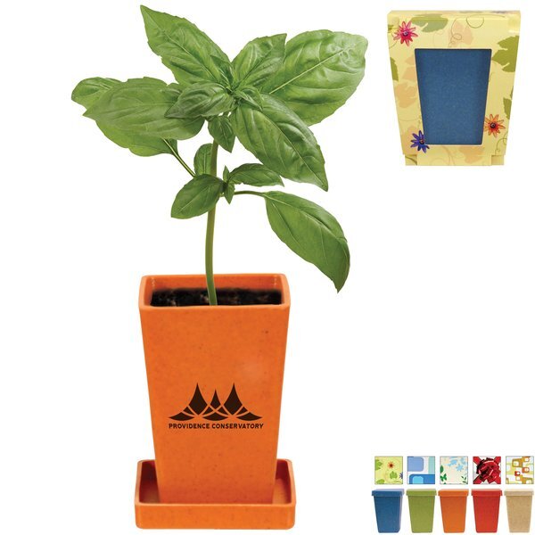 Herb Planter, 1 Pack