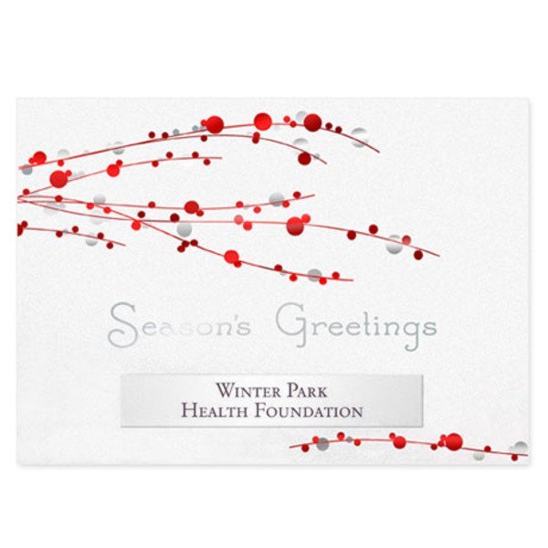 Season's Greetings Red Berry Branches Holiday Greeting Card