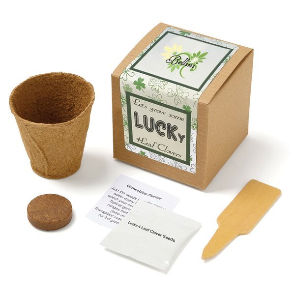 Lucky Four Leaf Clover Growables Planter in Kraft Gift Box w/ Full Color Label
